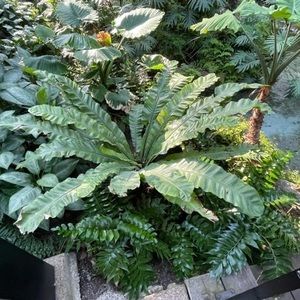 Meet your Posher, Legaspi